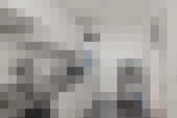 Vechtplantsoen 56 3 Utrecht thumbnail 10