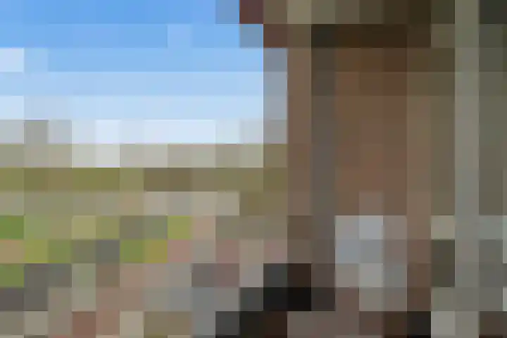 Vechtplantsoen 56 3 Utrecht thumbnail 23