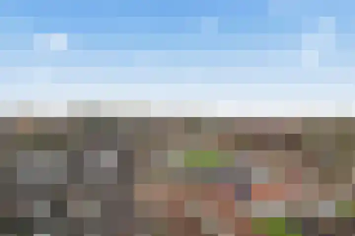 Vechtplantsoen 56 3 Utrecht thumbnail 7
