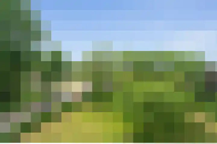 Vechtplantsoen 6 2 Utrecht thumbnail 10