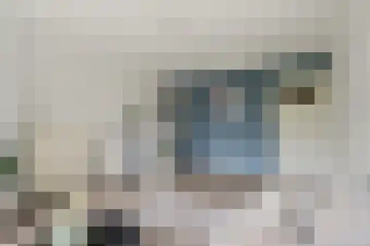 Vechtplantsoen 6 2 Utrecht thumbnail 13