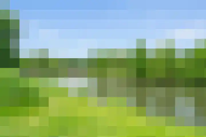 Vechtplantsoen 6 2 Utrecht thumbnail 31