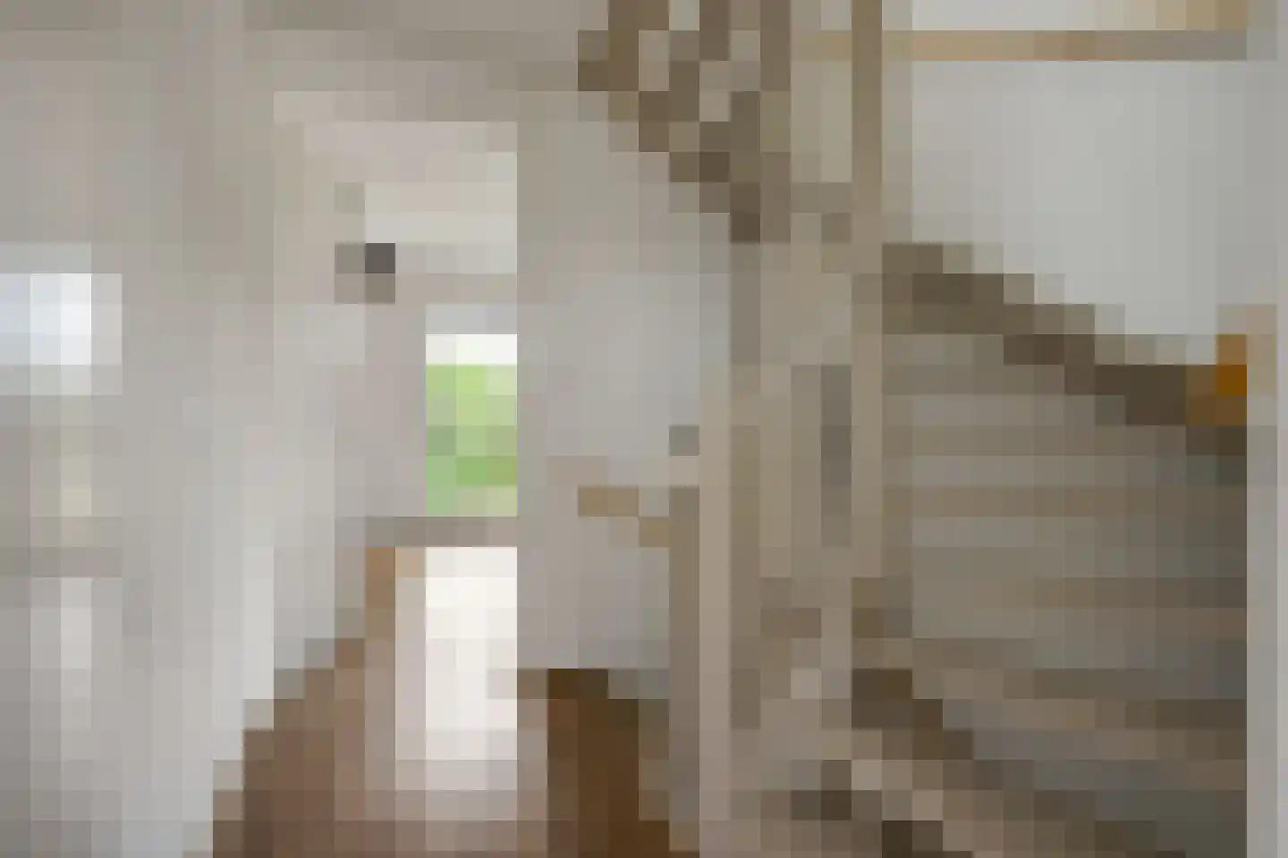 Vechtpolder 27 Houten thumbnail 14