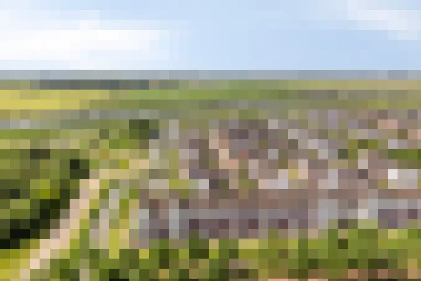Vechtpolder 27 Houten thumbnail 27