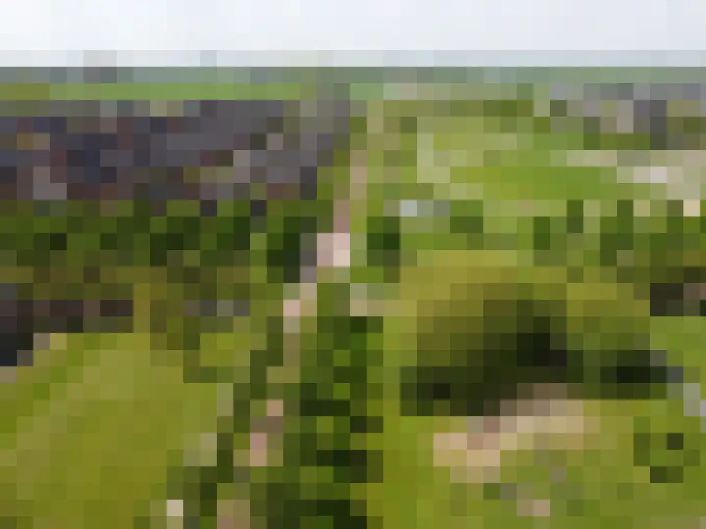 Vechtpolder 27 Houten thumbnail 30