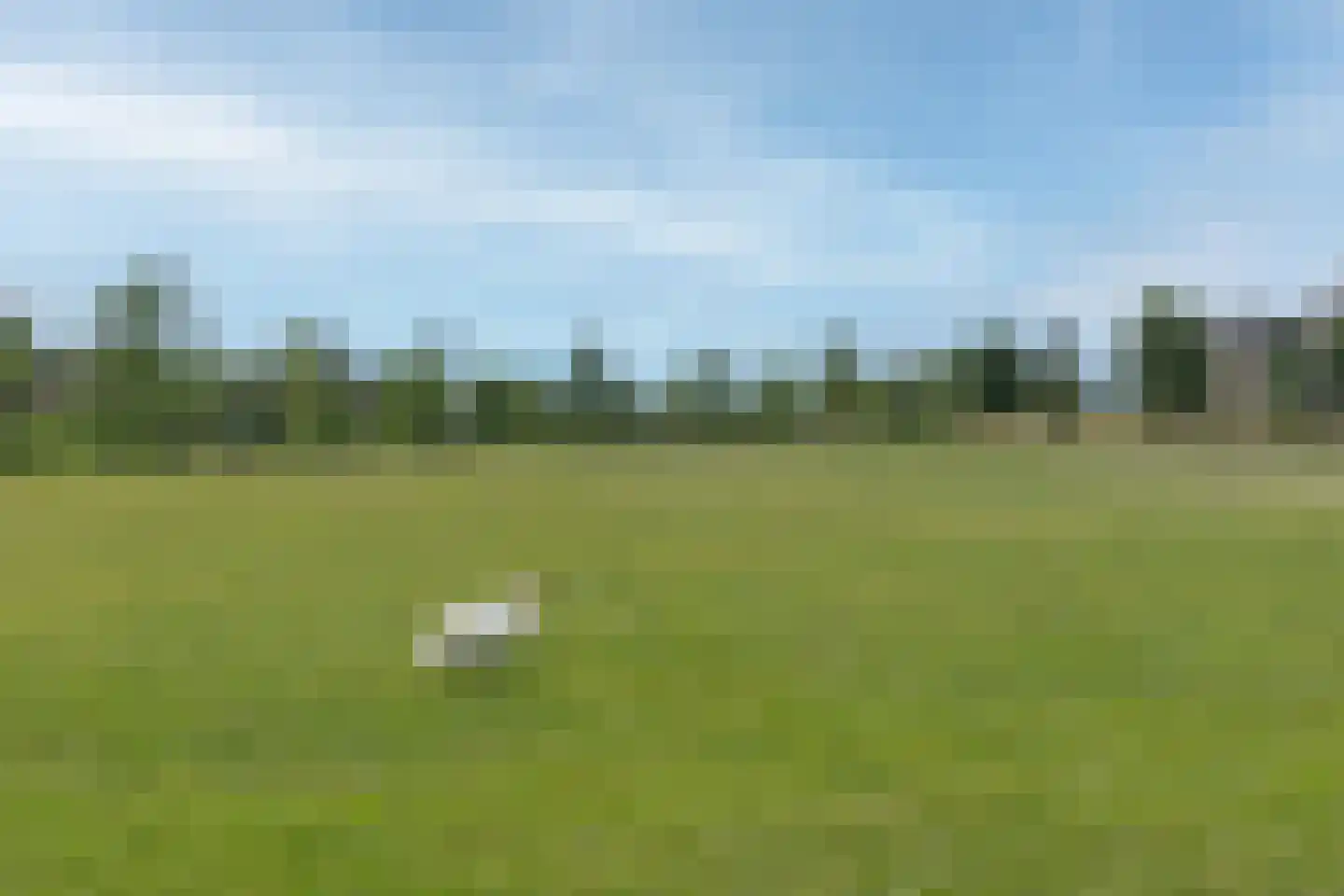 Vechtpolder 27 Houten thumbnail 32