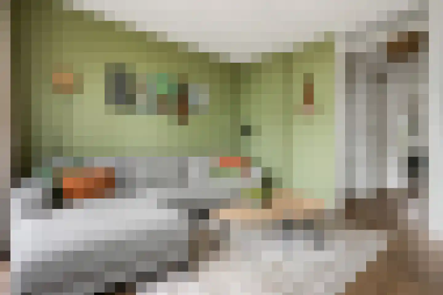 Vechtpolder 27 Houten thumbnail 6