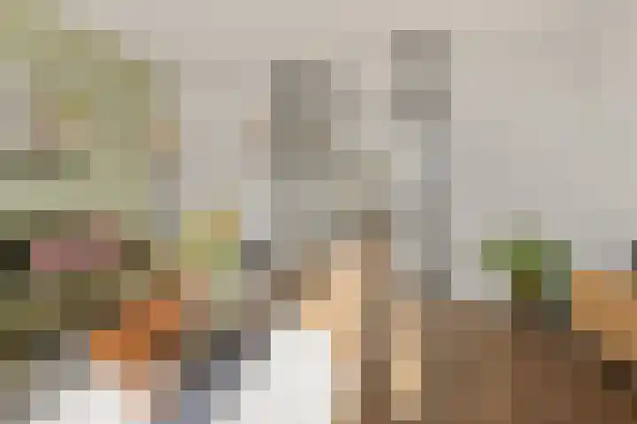 Vechtpolder 29 Houten thumbnail 12