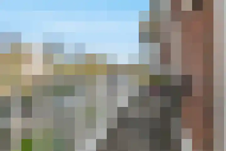 Vechtpolder 29 Houten thumbnail 18
