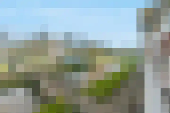 Vechtpolder 29 Houten thumbnail 19
