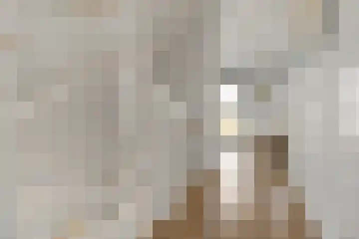 Vechtpolder 29 Houten thumbnail 20