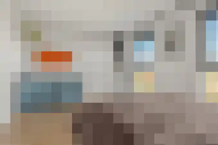 Vechtpolder 29 Houten thumbnail 23