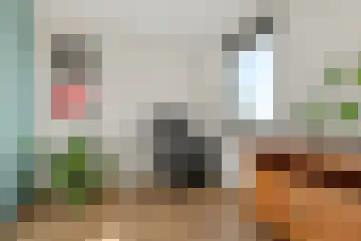 Vechtpolder 29 Houten thumbnail 24