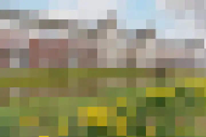 Vechtpolder 29 Houten thumbnail 34