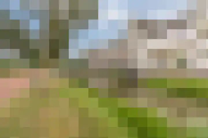 Vechtpolder 29 Houten thumbnail 35