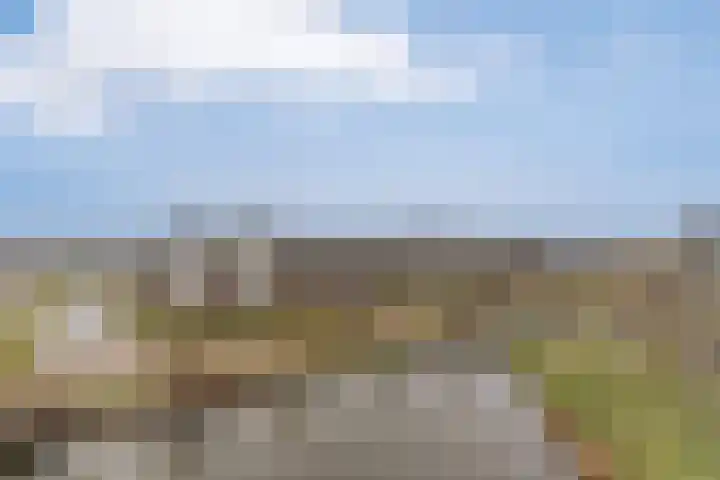 Vechtpolder 29 Houten thumbnail 36