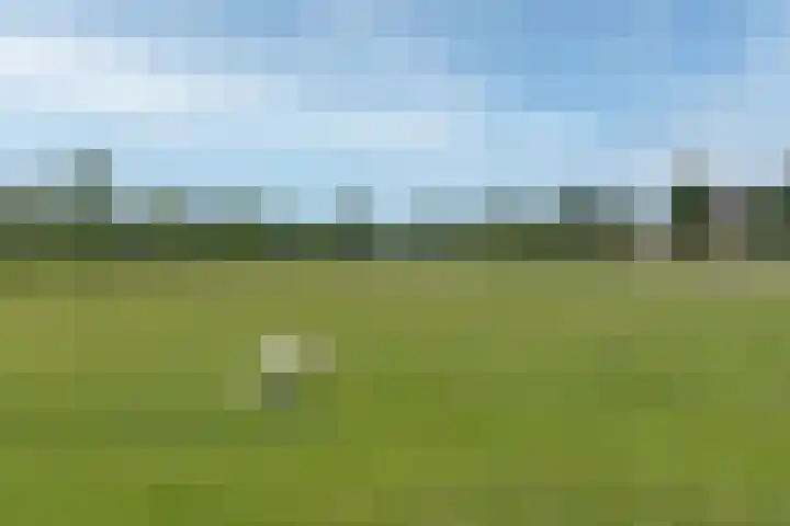 Vechtpolder 29 Houten thumbnail 38