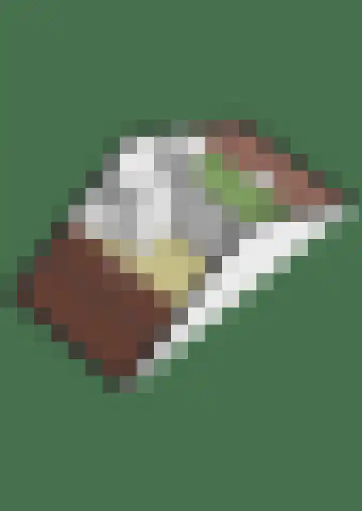 Vechtpolder 29 Houten thumbnail 47