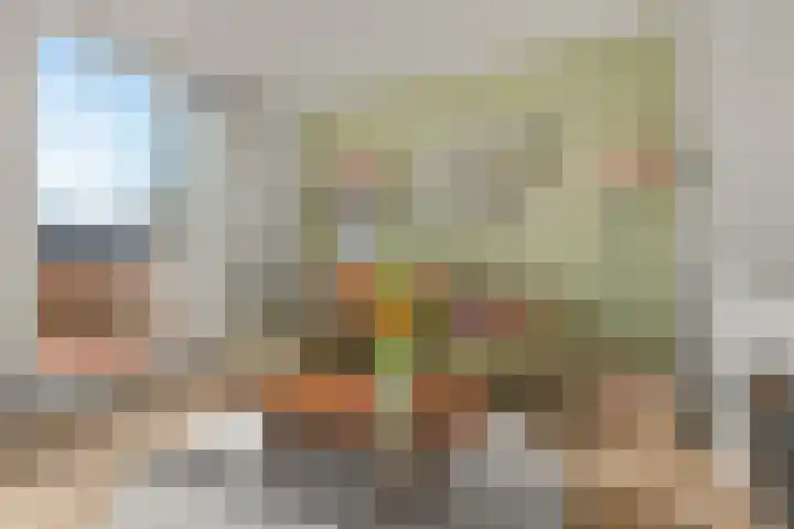 Vechtpolder 29 Houten thumbnail 7