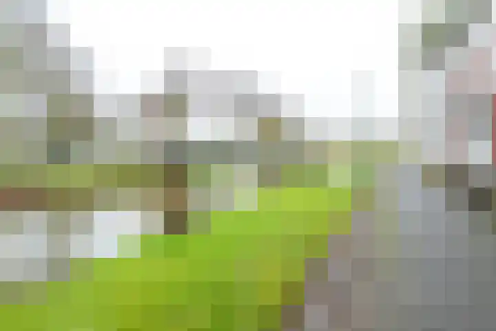 Vechtpolder 37 Houten thumbnail 26
