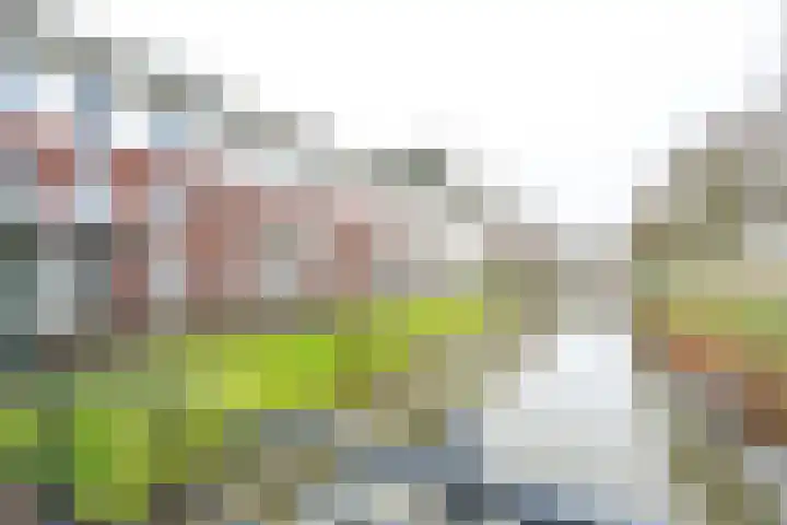 Vechtpolder 37 Houten thumbnail 27