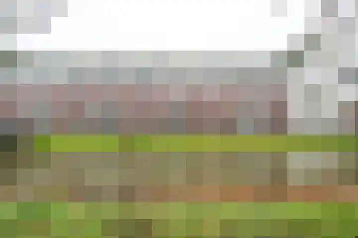 Vechtpolder 37 Houten thumbnail 28