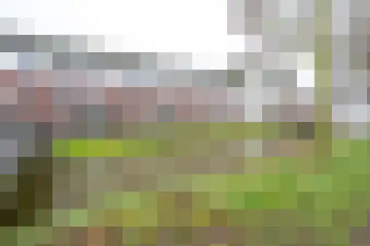 Vechtpolder 37 Houten thumbnail 29