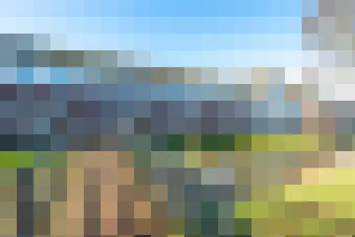 Vechtpolder 37 Houten thumbnail 31