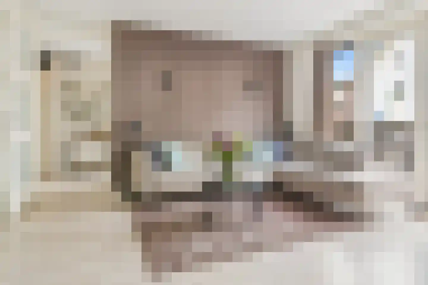 Vechtpolder 61 Houten thumbnail 10