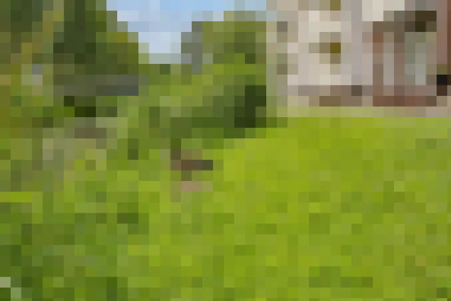 Vechtpolder 61 Houten thumbnail 45