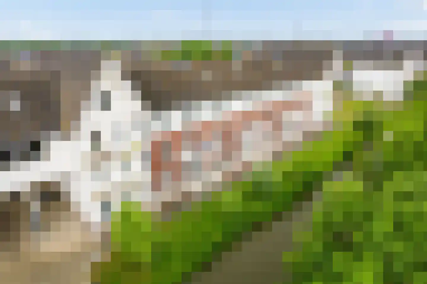 Vechtpolder 61 Houten thumbnail 47
