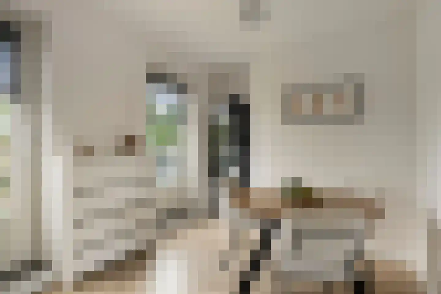 Vechtpolder 65 Houten thumbnail 14