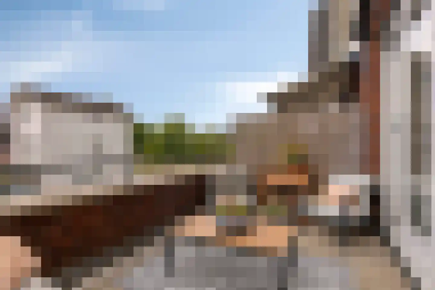 Vechtpolder 65 Houten thumbnail 8