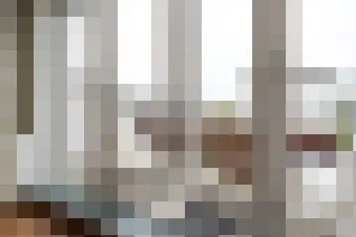 Vechtpolder 71 Houten thumbnail 11