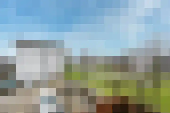 Vechtpolder 71 Houten thumbnail 15