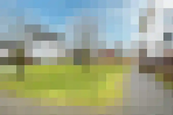 Vechtpolder 71 Houten thumbnail 38