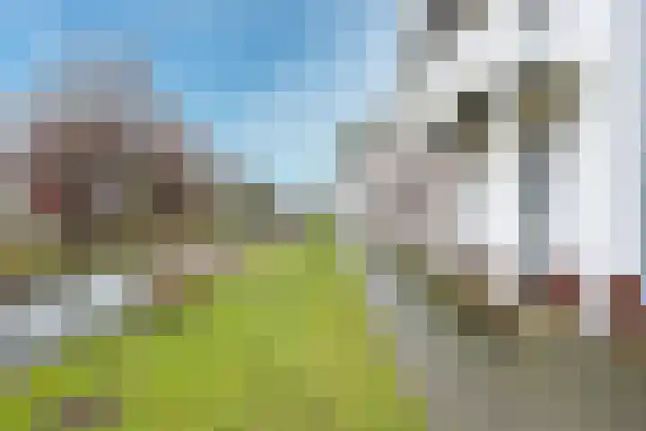 Vechtpolder 71 Houten thumbnail 39