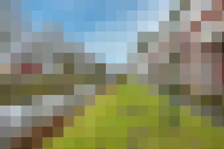 Vechtpolder 71 Houten thumbnail 40