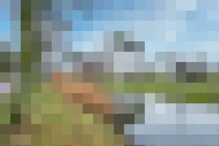 Vechtpolder 71 Houten thumbnail 42