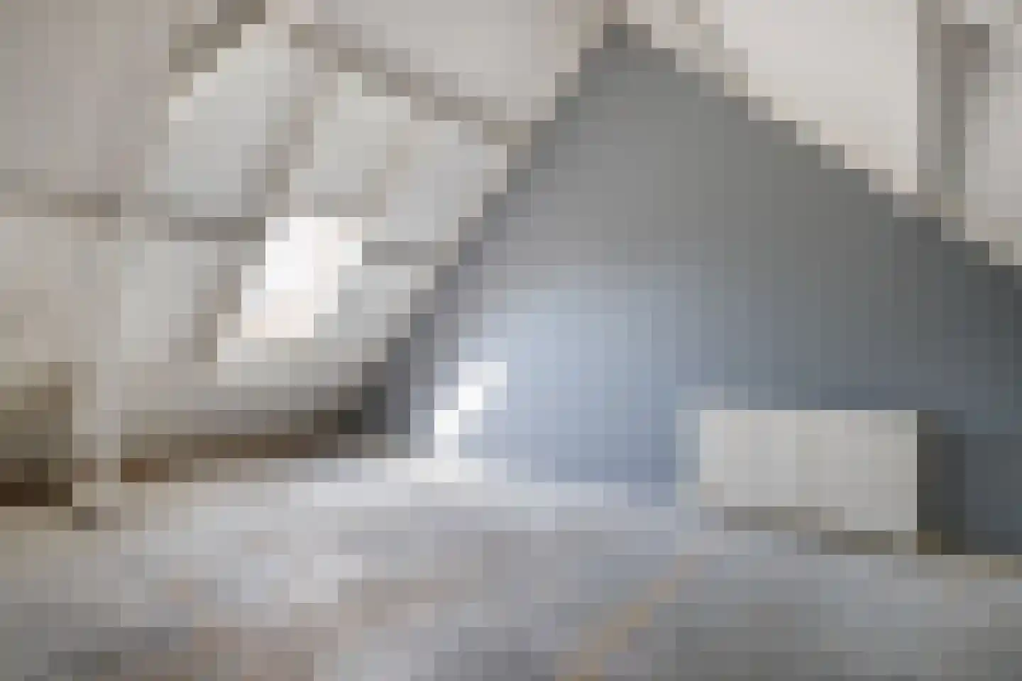 Vechtsteen 30 Wijk bij Duurstede thumbnail 13