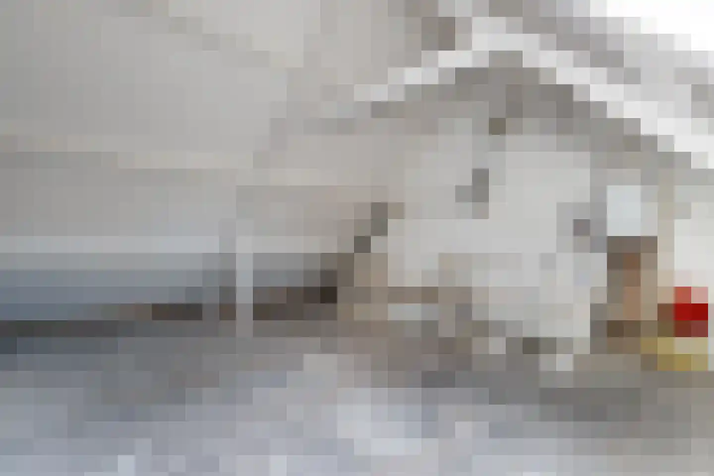 Vechtsteen 30 Wijk bij Duurstede thumbnail 14