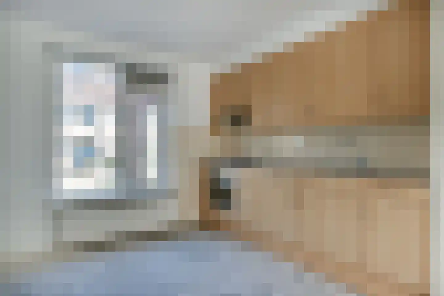 Vechtsteen 30 Wijk bij Duurstede thumbnail 4