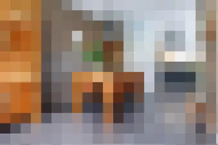 Vechtsteen 35 Wijk bij Duurstede thumbnail 11
