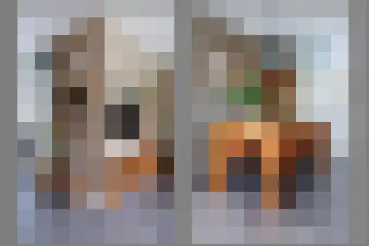 Vechtsteen 35 Wijk bij Duurstede thumbnail 12