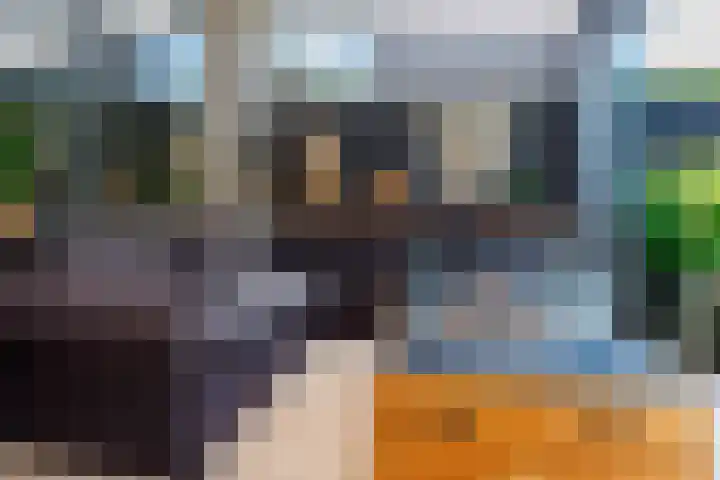 Vechtsteen 35 Wijk bij Duurstede thumbnail 17