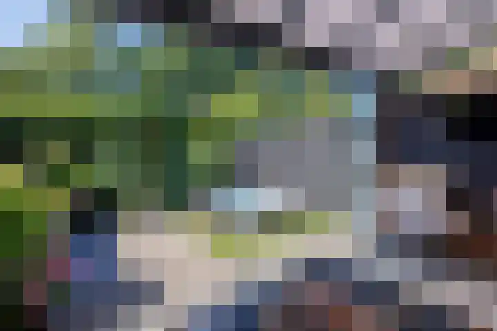 Vechtsteen 35 Wijk bij Duurstede thumbnail 18