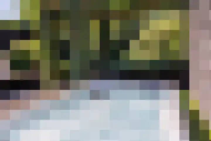Vechtsteen 35 Wijk bij Duurstede thumbnail 19