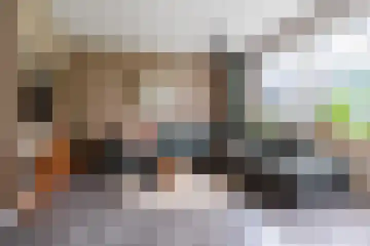 Vechtsteen 35 Wijk bij Duurstede foto 2