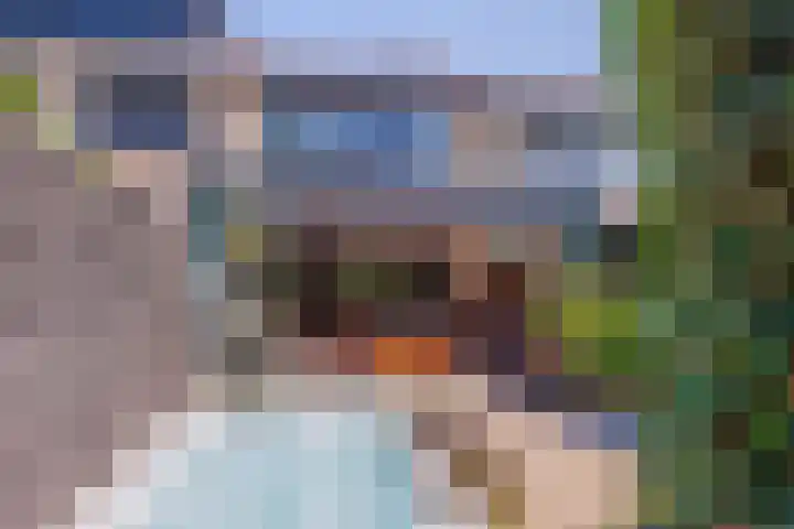 Vechtsteen 35 Wijk bij Duurstede thumbnail 20