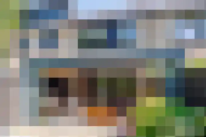 Vechtsteen 35 Wijk bij Duurstede thumbnail 21